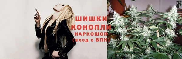 не бодяженный Волоколамск