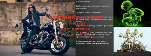 не бодяженный Волоколамск