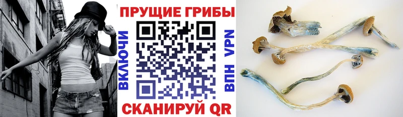 Галлюциногенные грибы GOLDEN TEACHER  где купить наркоту  Самара 