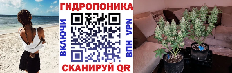 купить наркотики цена Самара Шишки марихуана план